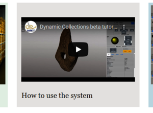 Dynamic collections